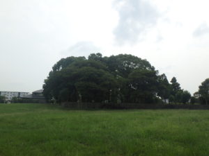 小郡エリア