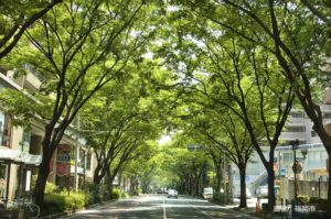 赤坂エリア
